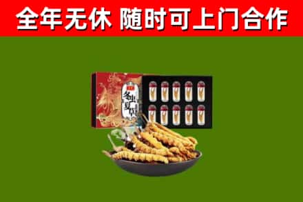 河西回收冬虫夏草价格