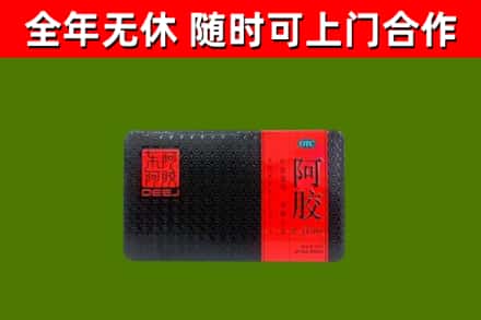 河西回收阿胶