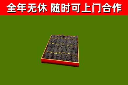 河西回收海参